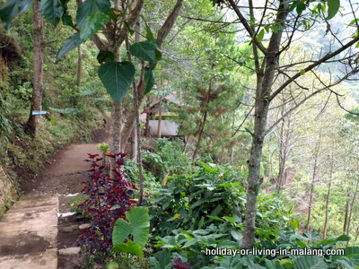 Path to Coban Pelangi in Malang