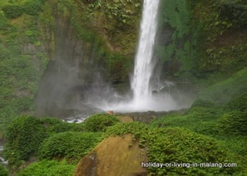 White and green at coban Pelangi area