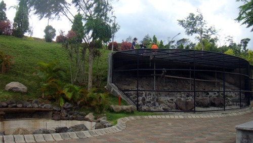 Monkeys cage in Villa Puncak Tidar Malang