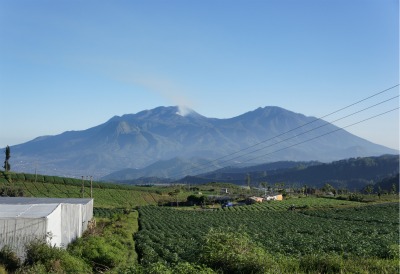 blue mountain and greenery in Cangar