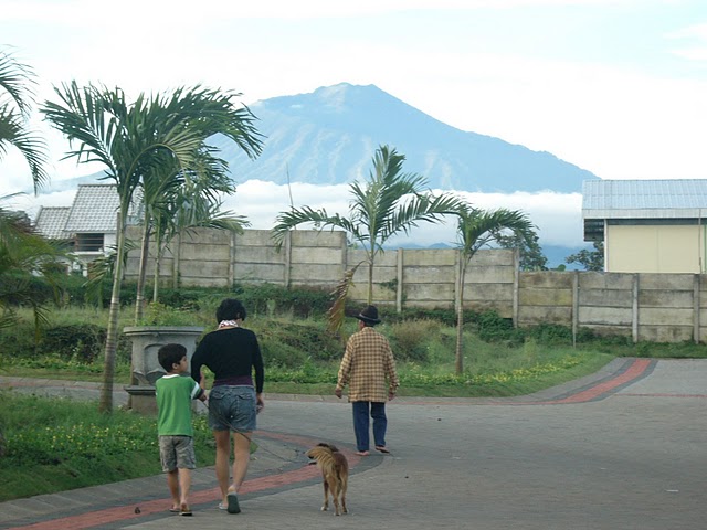 Nice mountain view