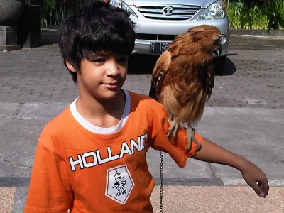 Anugerah and owl