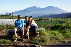 working on the potato field in Cangar