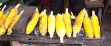 Grilled corn at Coban Rondo waterfall