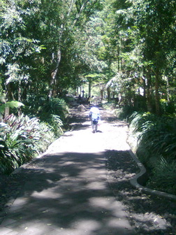 Path to Coban Rondo waterfal