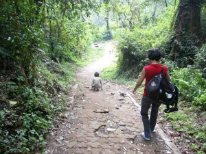 Path to Japan Cave in Bat