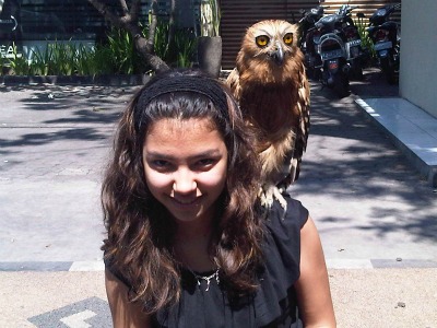 Pelangi and owl