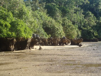 Teluk Semut at ebb tide