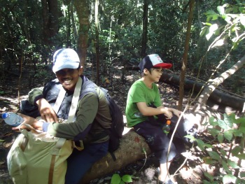 resting in the forest