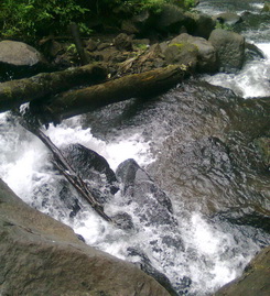 A small creek at Coban Ondo waterfall
